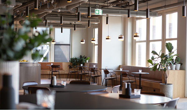 Notre engagement RSE : pourquoi nous avons choisi Newton Offices